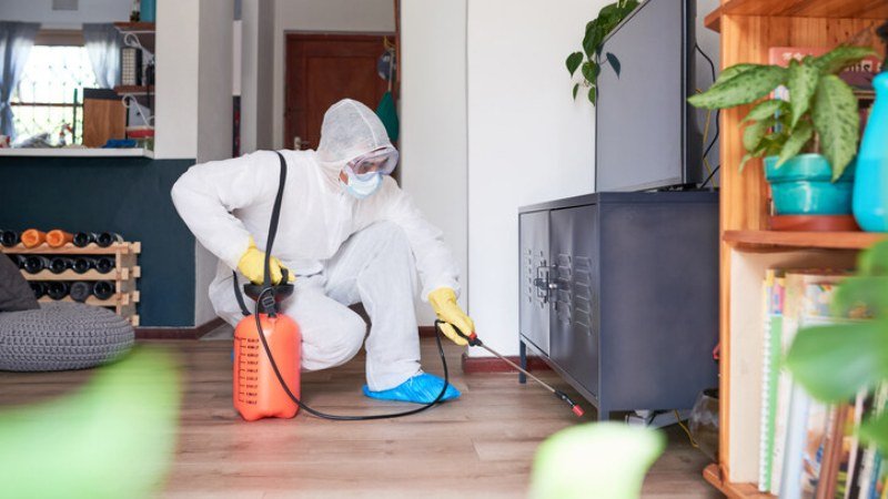 Pest Control Winter Garden